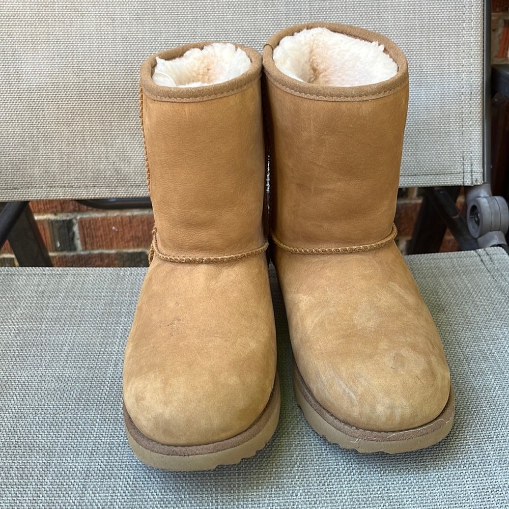 Uggs Water Resistant Chestnut Short